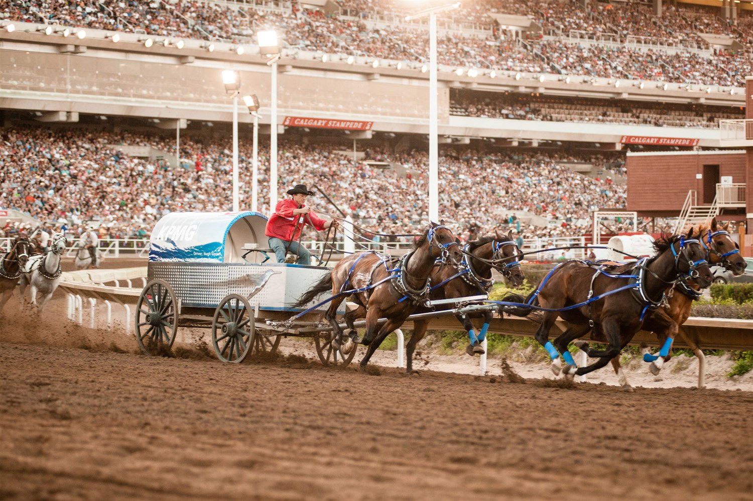 Calgary Stampede Extravaganza | Trailfinders