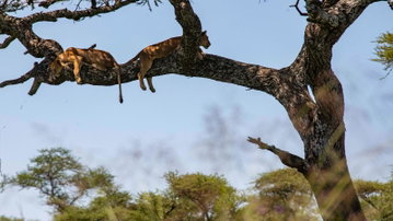Nairobi to Cape Town Overland Safari
