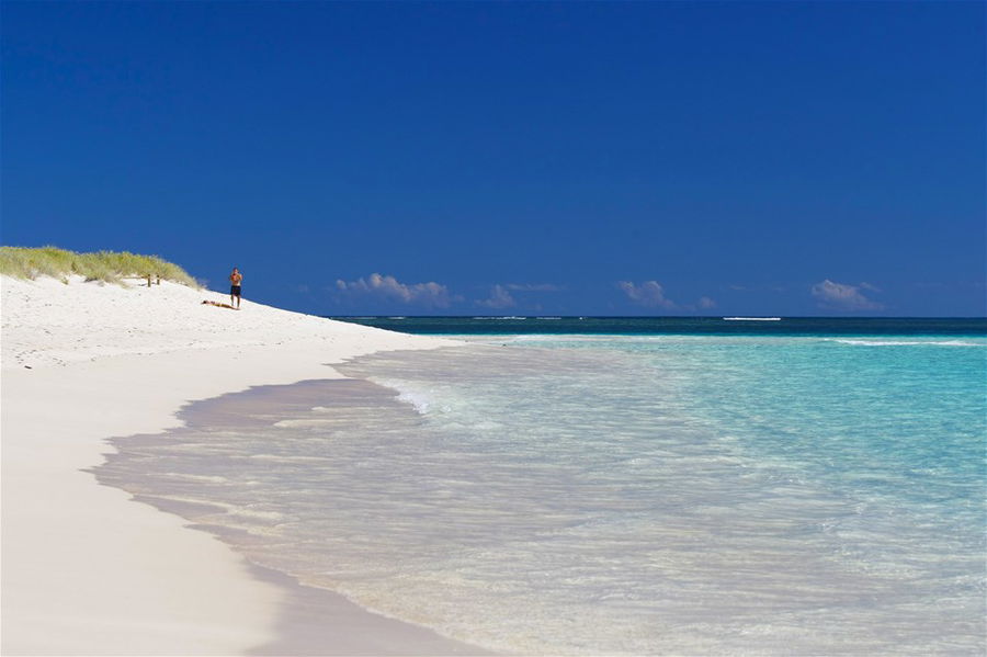 An empty, white sand beach lapped by clear waters in Australia