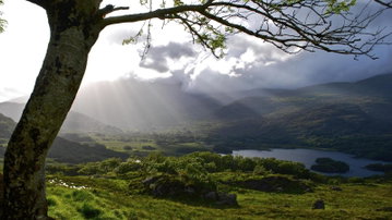 Ireland: Coastal Hikes, The Beara Peninsula & Killarney National Park