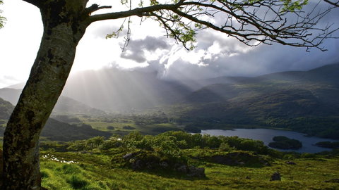 Ireland: Coastal Hikes, The Beara Peninsula & Killarney National Park