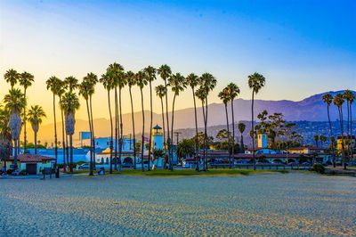 Top 5 USA Winter Sun Destinations