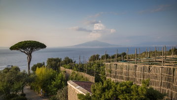 Local Living Italy - Sorrento
