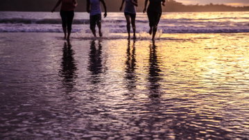 Costa Rica: Beaches, Wildlife & Wild Times