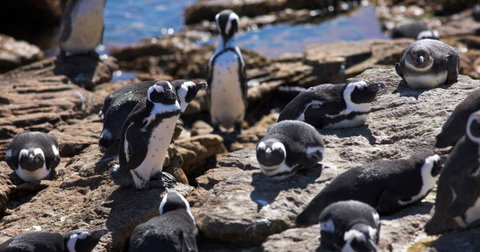 South Africa's Garden Route