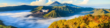Jakarta to Ubud