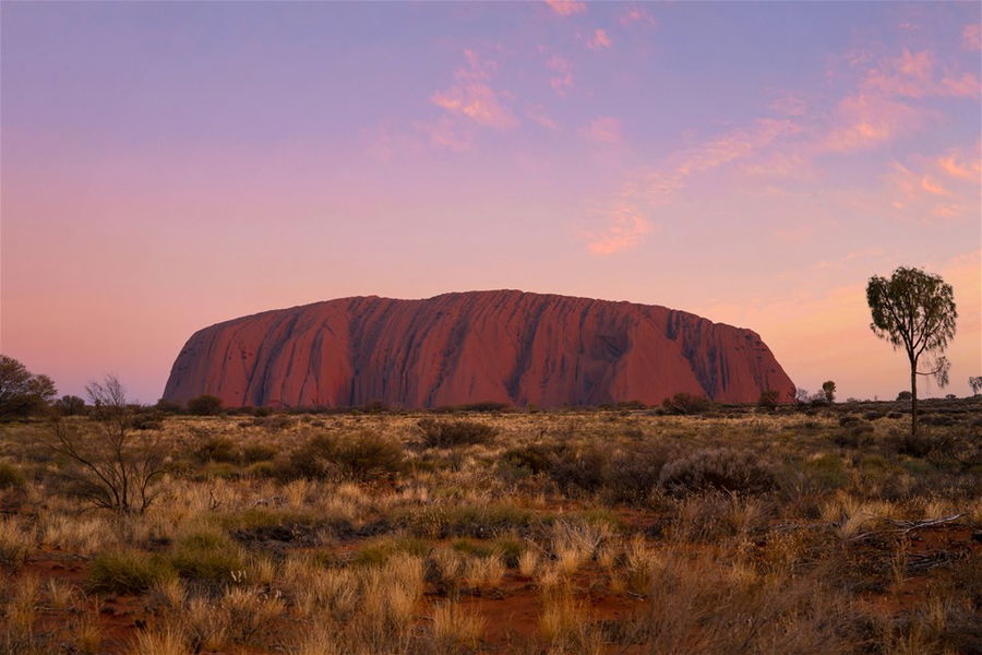 Lilac sky above Uluru