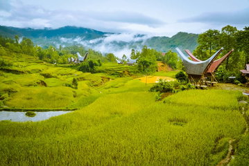 Indonesia Expedition: Sulawesi & Toraja Tribes
