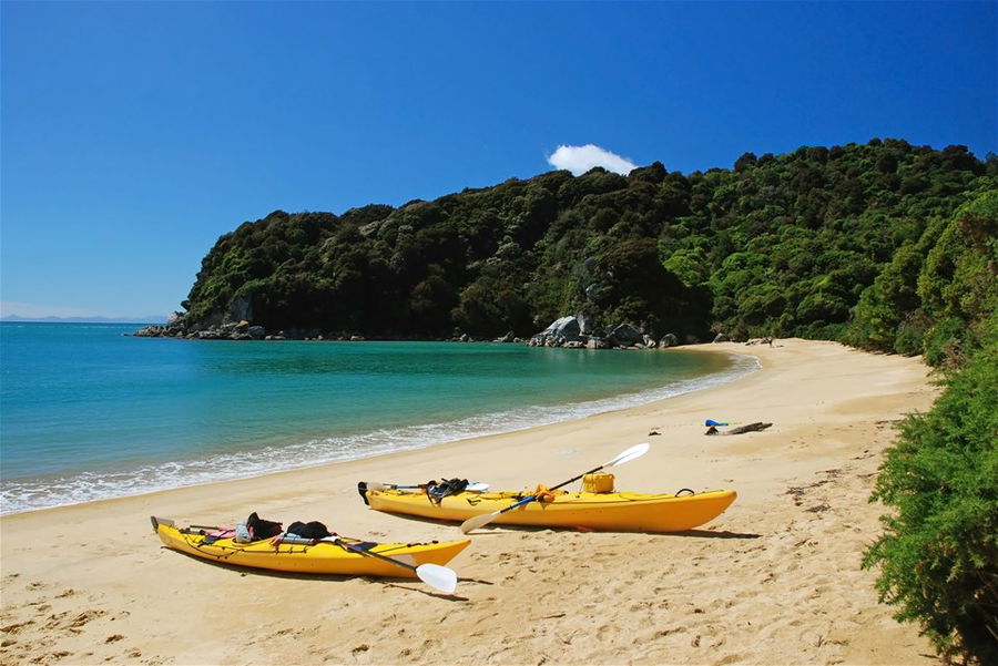 Abel Tasman Scenic Cruise, Walk & Kayak