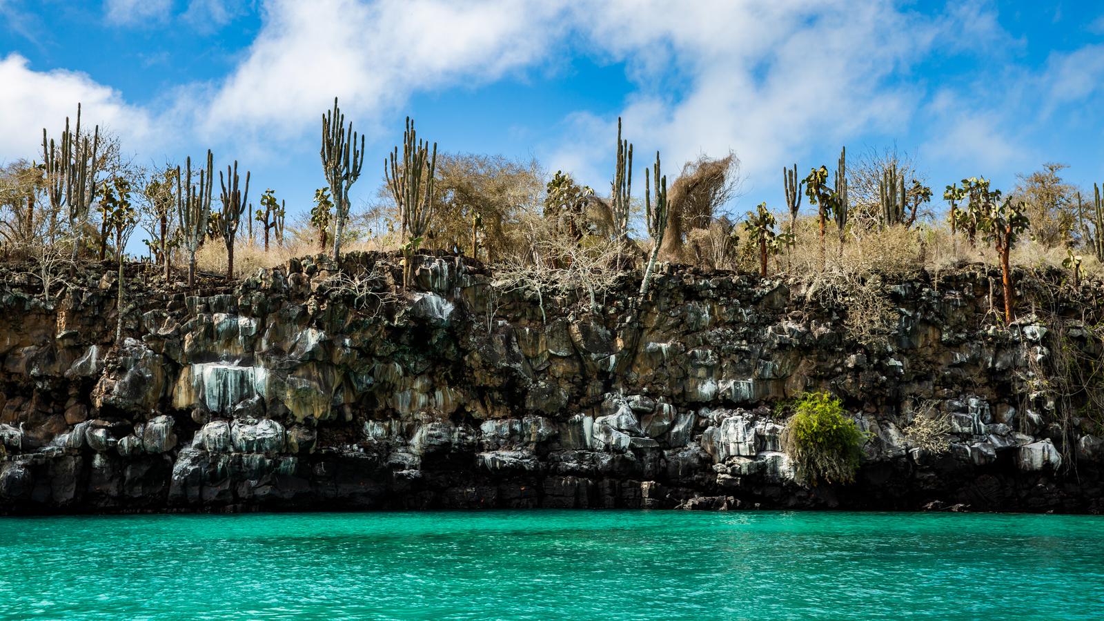 Snorkelling through shoals of tropical fish in the Galapagos, Ecuador