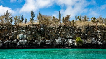 Galapagos Adventure: Snorkelling & Sea Lions