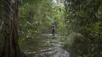 Inland & Amazon