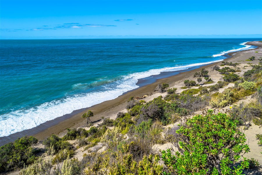 An aerial view of Peninsula Valdes beach in Argentina on a sunny day