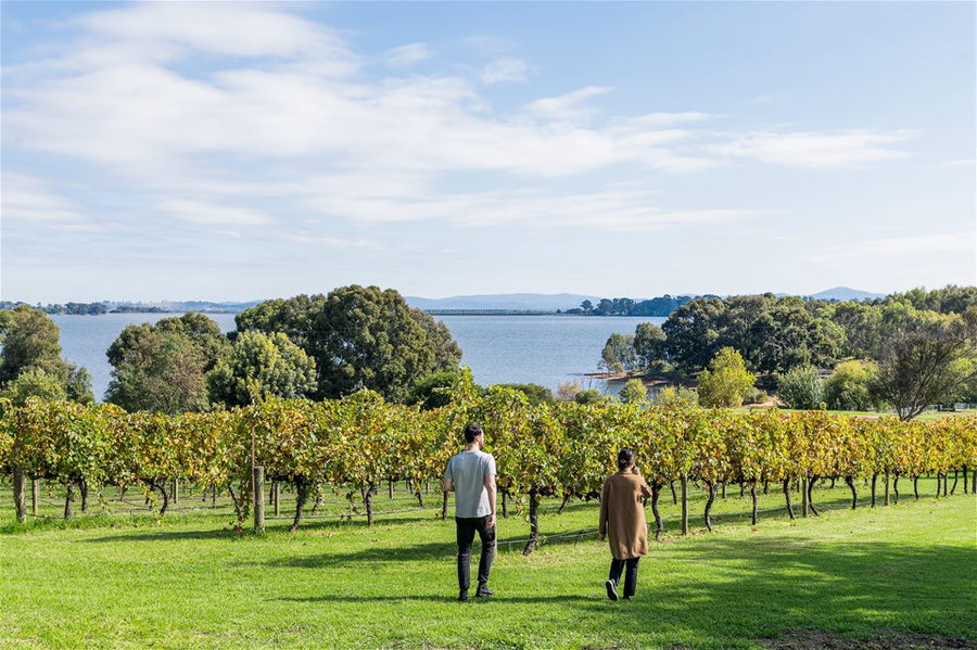 Websters Estate - Bethanga, Victoria, Australia