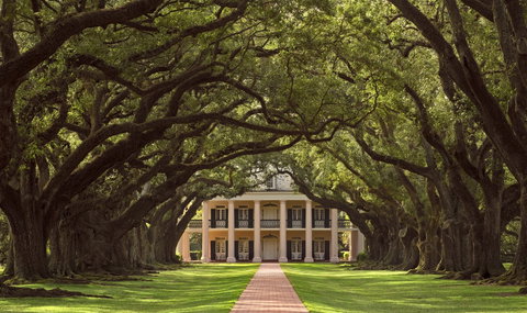Oak Alley Plantation