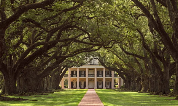 Oak Alley Plantation