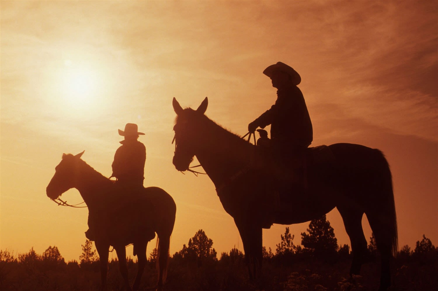 The Cowboy Experience, Working Ranch Vacation