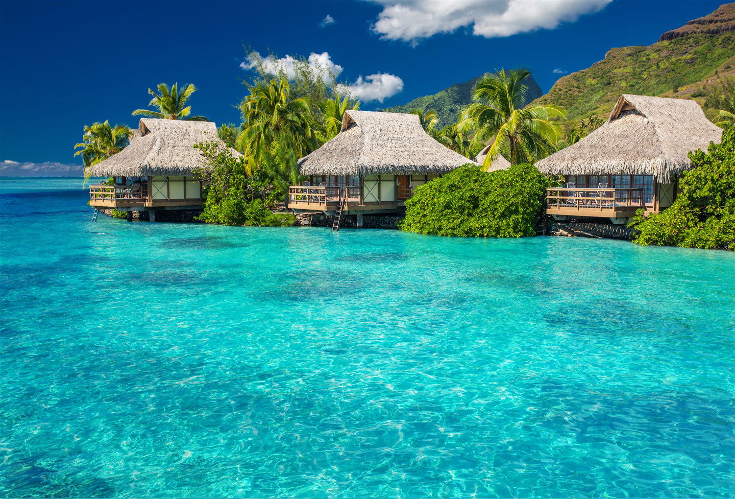 French Polynesia Holidays 2024/2025 | Trailfinders