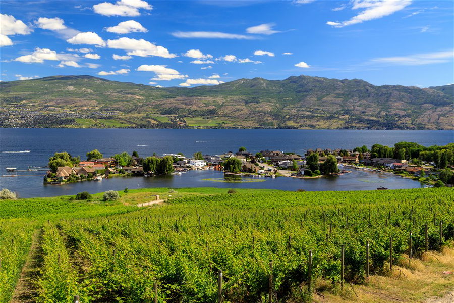 View of vineyards and Okanagan Lake in Westbank, West Kelowna, British Columbia, Canada