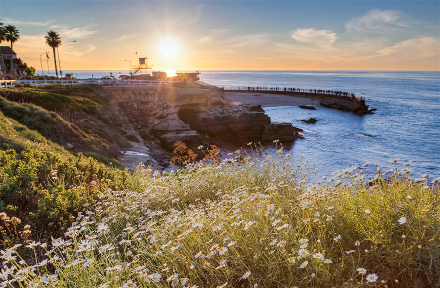 La Jolla… suns out, buns out!