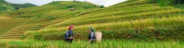 Hiking in Sapa Independent Short Break