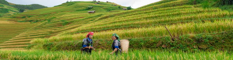 Hiking in Sapa Independent Short Break