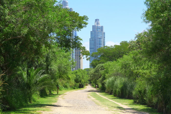 A view from Costanera Sur Ecological Reserve in Buenos Aires, Argentina