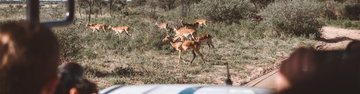 18 to 35s Real Southern Africa