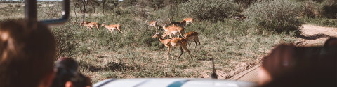 18 to 35s Real Southern Africa