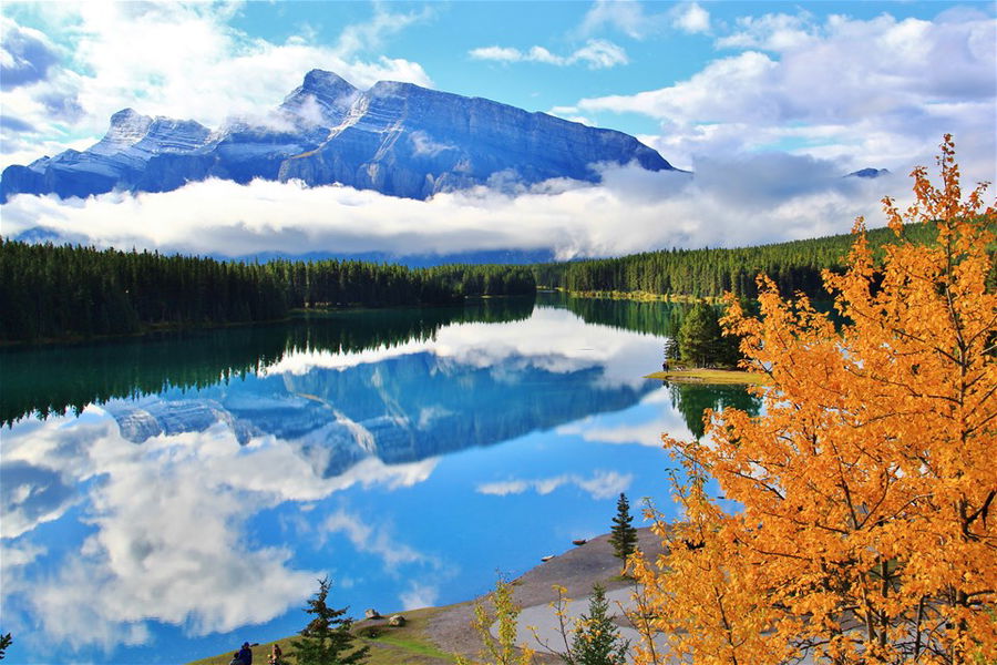 Autumn trees surround lake Louise in Canada