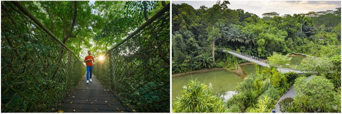 Singapore gardens