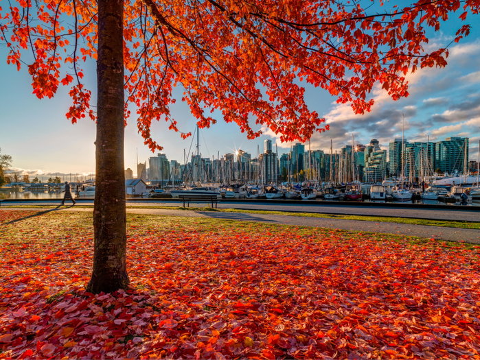 Autumn in Vancouver, British Columbia