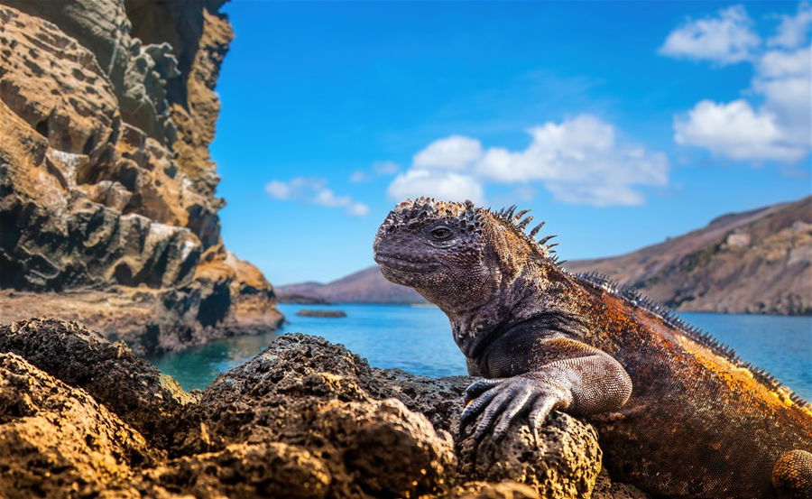 Beaches of the Galapagos Islands, Ecuador