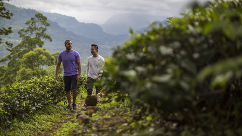 Journeys: Discover Sri Lanka