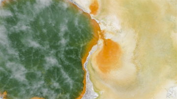 Ariel shot of colourful pools of geothermal activity, vivid greens and oranges bubble together to create steam, Rotorua, New Zealand