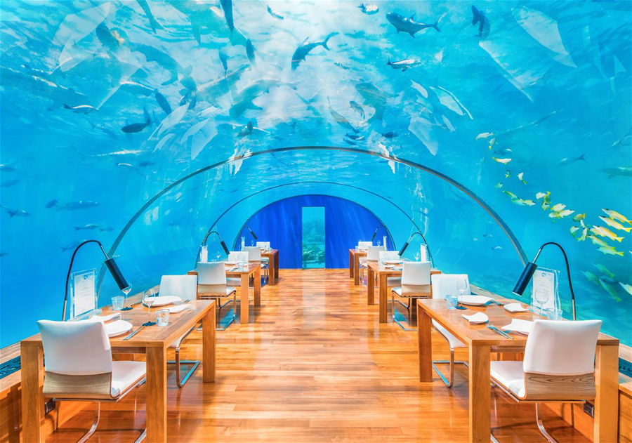 Ithaa Undersea Restaurant in the Maldives