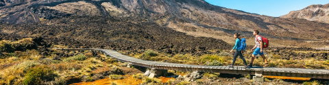 New Zealand Uncovered (Southbound)