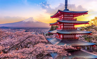 Top 5 Things to do in Japan