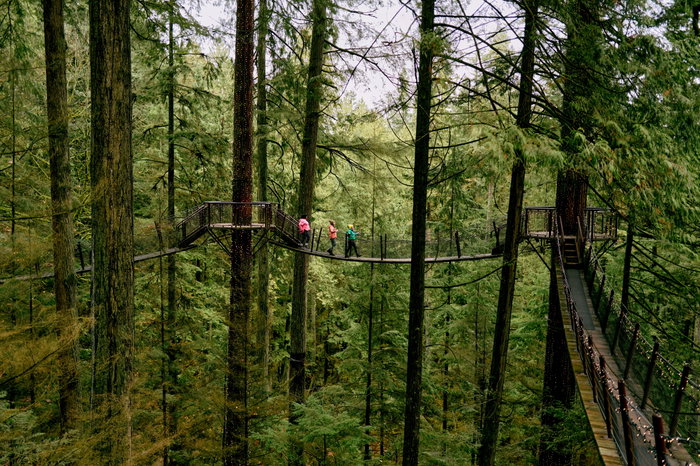 Vancouver Capilano Suspension Bridge