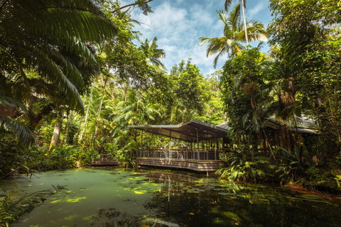 Daintree Ecolodge