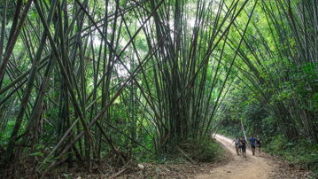 Laos to Northern Thailand: Treks & Trails