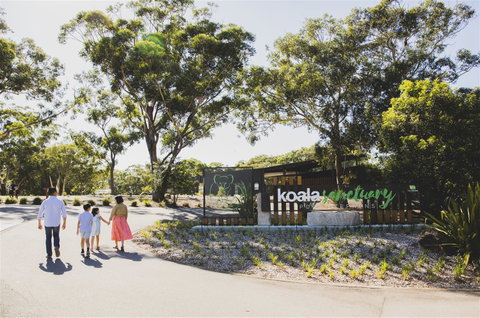 Koala Sanctuary Port Stephens