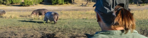 Botswana Adventure