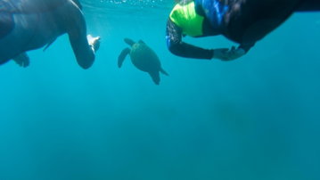 Galapagos Multisport