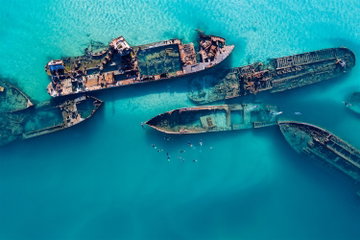 Tangalooma Dolphin Adventure with Snorkel the Shipwrecks