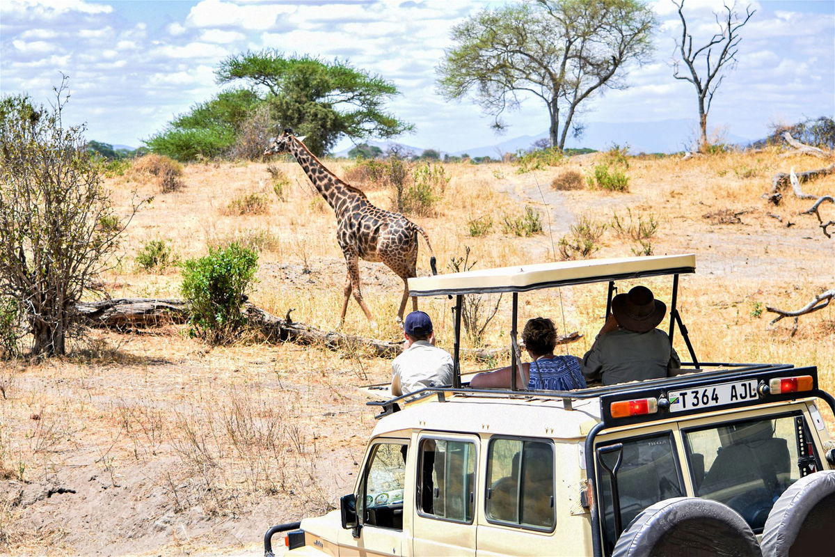 trailfinders tanzania safari reviews