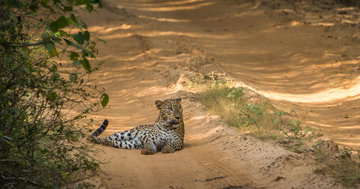 Sri Lanka in Depth