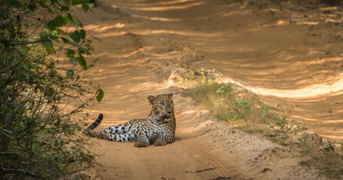 Sri Lanka in Depth