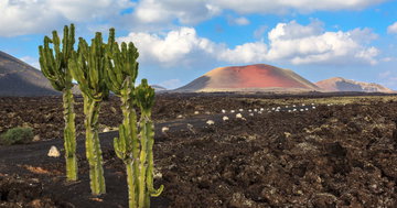 Canary Islands Walking - Lanzarote