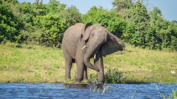 Botswana & Victoria Falls Adventure